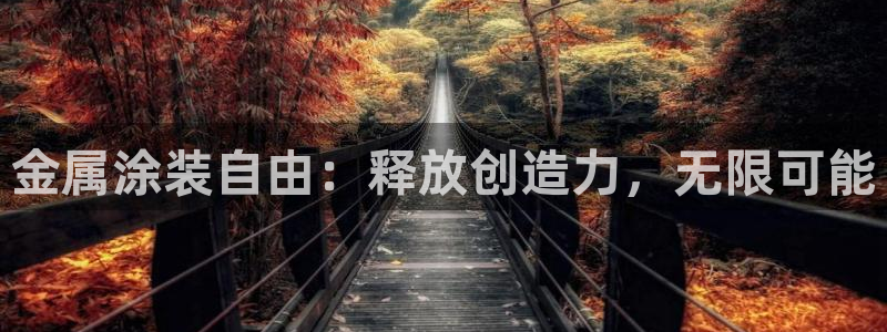 美高梅在澳门有几家