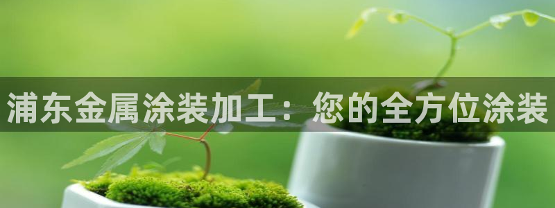 美高梅公司的合信平台怎么样