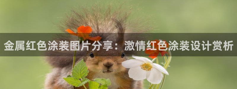 美高梅最大筹码