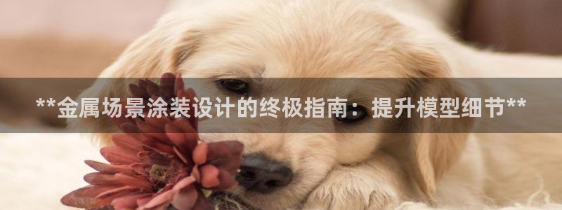 美高梅会员卡当天办可以吗