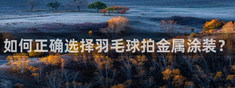 美高梅拉斯维加斯大酒店
