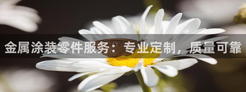 美高梅酒店集团怎么样