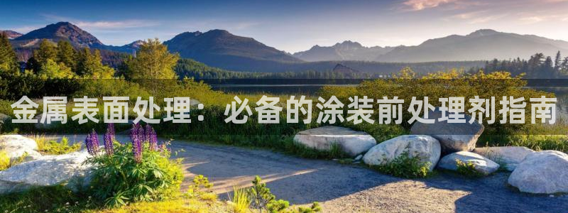 美高梅为什么是狮子