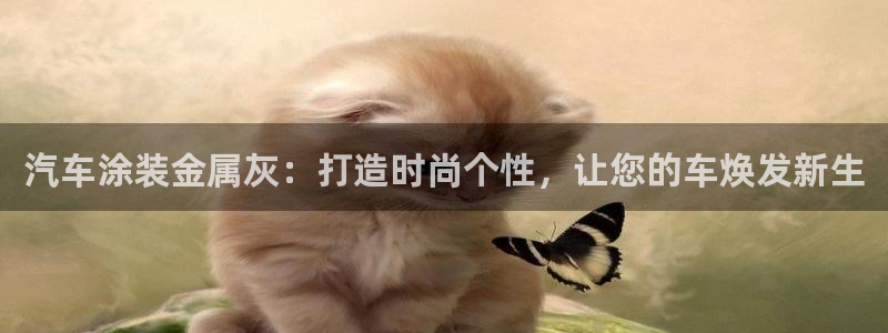 美高梅积分卡级别