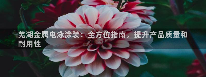 美高梅别墅是精装吗还是明装