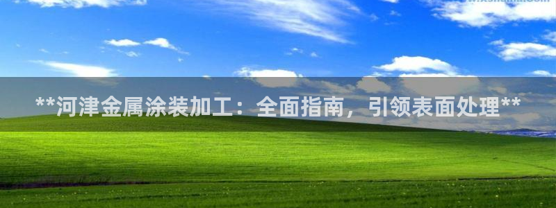 美高梅是谁的