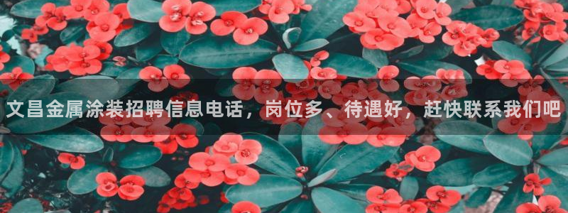 美高梅大酒店何超琼