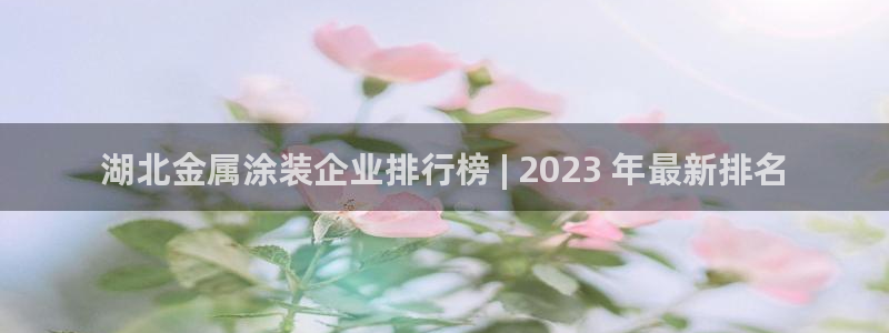 美高梅是个什么公司