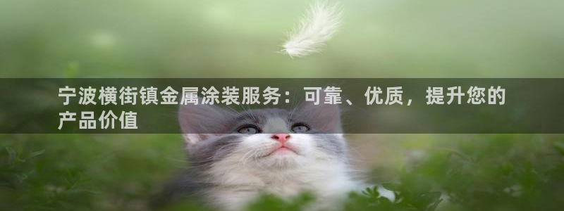 美狮美高梅酒店有什么品牌专卖店