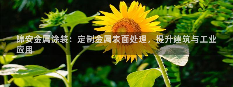 美高梅挨黑了客服说什么
