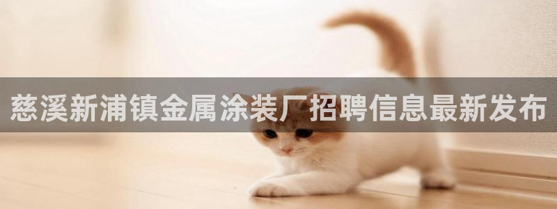 美高梅哪个集团