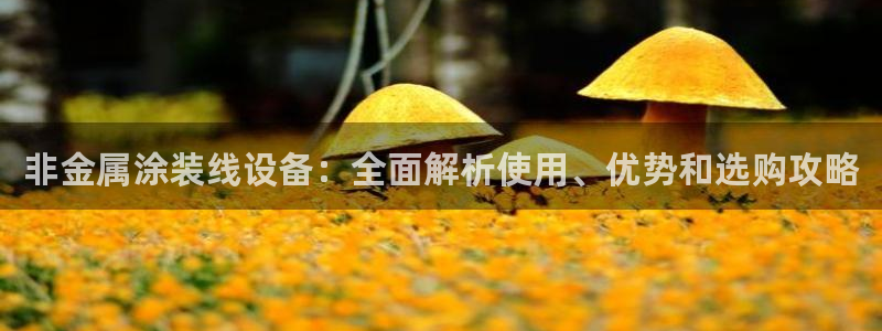 美高梅酒店投资多少亿