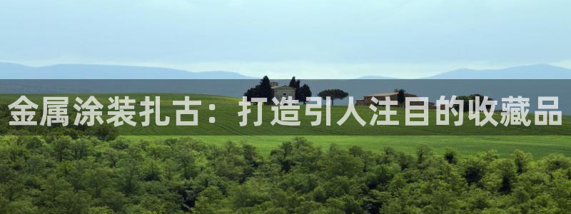 美高梅可以订外卖吗：金属涂装扎古：打造引