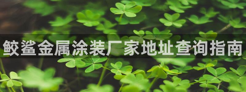 美高梅最低赌注是多少：鲛鲨金属涂装厂家地