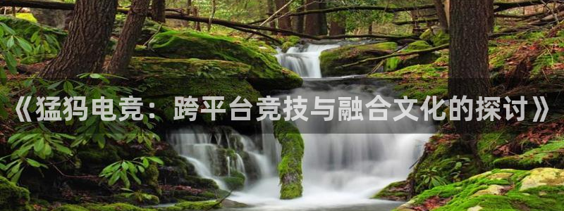 一竞技