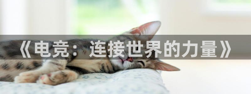 一竞技官网：《电竞：连接世界的力量》