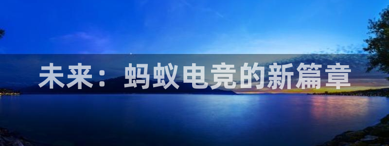 一竞技平台：未来：蚂蚁电竞的新篇章