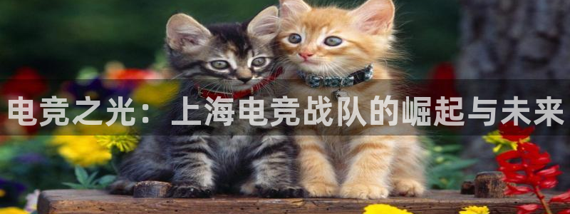 一竞技网址：电竞之光：上海电竞战队的崛起与未来
