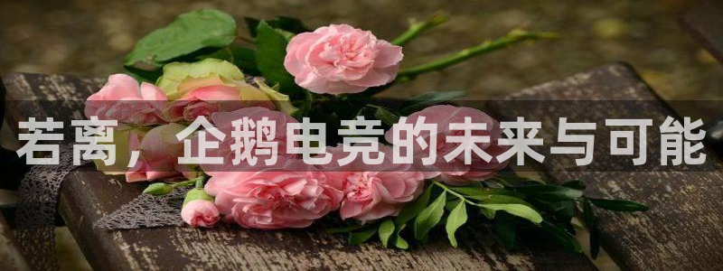 一竞技网址：若离，企鹅电竞的未来与可能