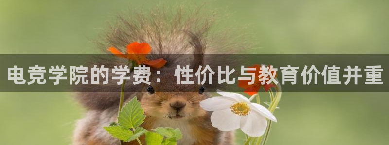 一竞技app：电竞学院的学费：性价比与教育价值并重