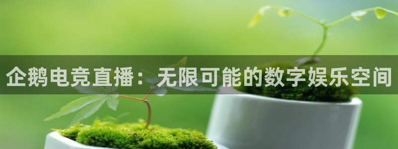 一竞技