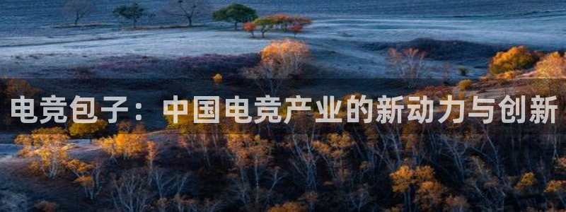 一竞技官网地址
