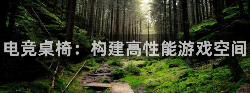 一竞技平台