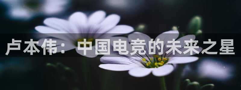 一竞技官网