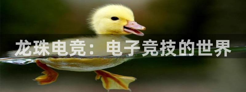 一竞技官网