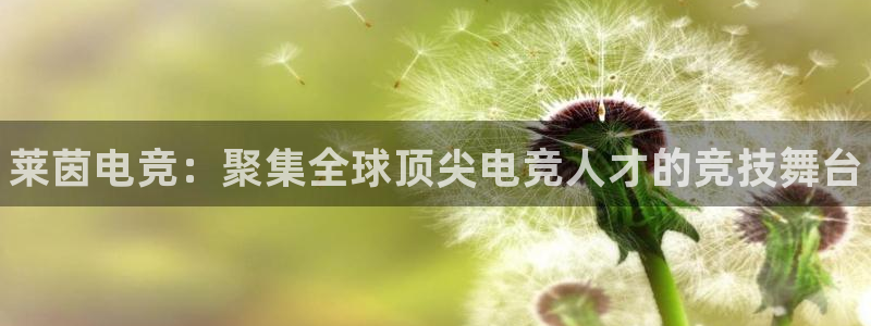 一竞技官网：莱茵电竞：聚集全球顶尖电竞人才的竞技舞台