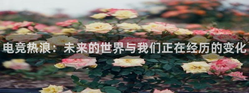 一竞技网址：电竞热浪：未来的世界与我们正在经历的变化