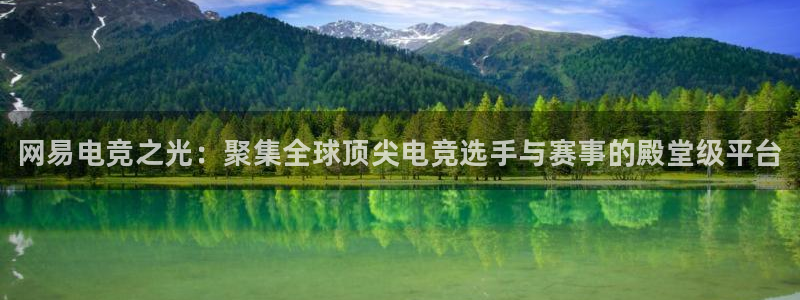 一竞技官网地址：网易电竞之光：聚集全球顶尖电竞选手与赛事的殿堂级平台