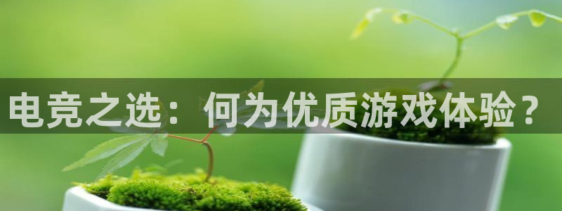 一竞技app下载