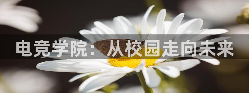 一竞技官网