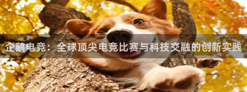 一竞技app下载：企鹅电竞：全球顶尖电竞比赛与科技交融的创新实践
