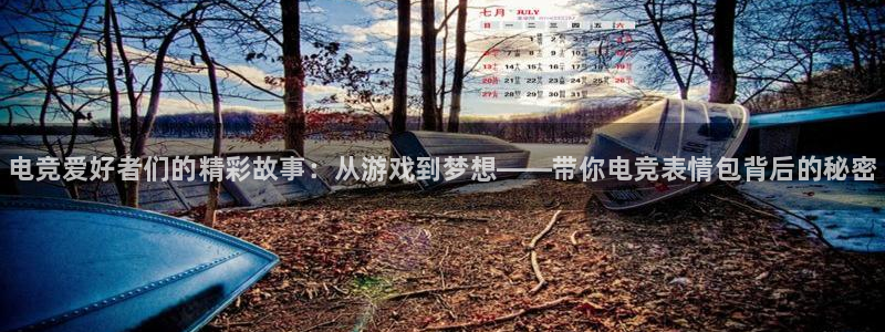 一竞技官网下载：电竞爱好者们的精彩故事：从游戏到梦想——带你电竞表情包背后的秘密