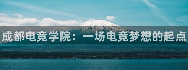 一竞技app下载：成都电竞学院：一场电竞梦想的起点