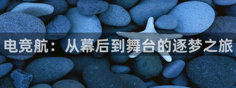 一竞技平台：电竞航：从幕后到舞台的逐梦之旅