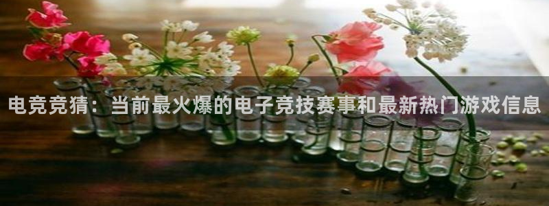 一竞技官网地址：电竞竞猜：当前最火爆的电子竞技赛事和最新热门游戏信息