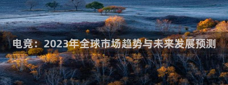 一竞技官网下载：电竞：2023年全球市场趋势与未来发展预测