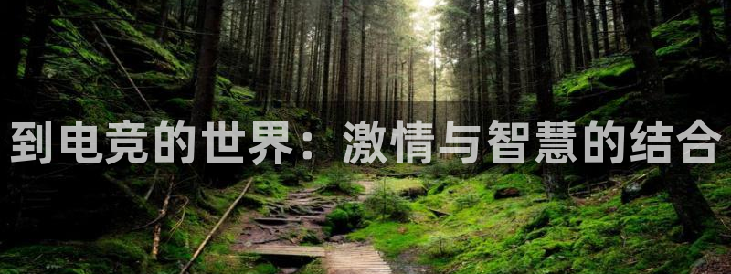 一竞技app下载安装：到电竞的世界：激情与智慧的结合
