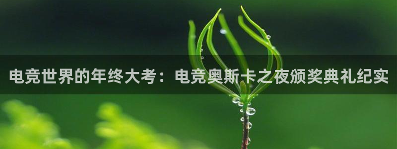一竞技app下载：电竞世界的年终大考：电竞奥斯卡之夜颁奖典礼纪实
