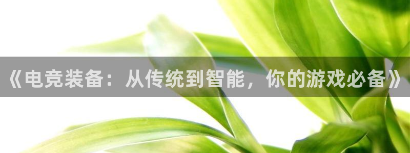一竞技app下载安装：《电竞装备：从传统到智能，你的游戏必备》