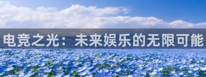一竞技平台：电竞之光：未来娱乐的无限可能