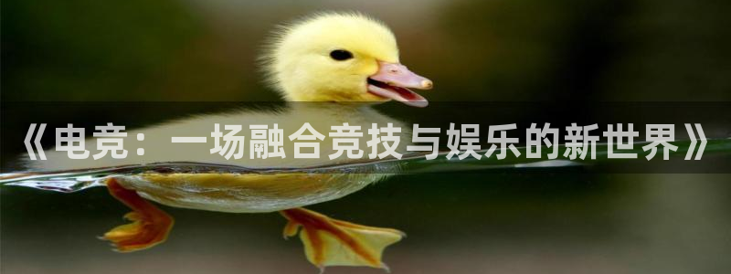 一竞技app：《电竞：一场融合竞技与娱乐的新世界》