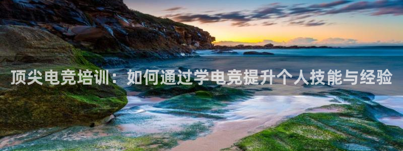 一竞技官网下载：顶尖电竞培训：如何通过学电竞提升个人技能与经验