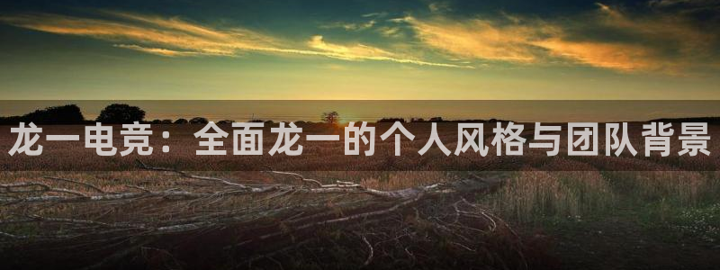 一竞技app下载：龙一电竞：全面龙一的个人风格与团队背景