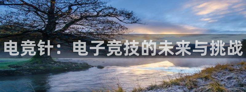 一竞技官网：电竞针：电子竞技的未来与挑战
