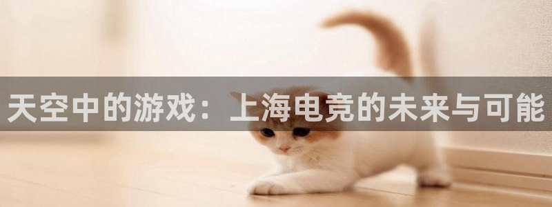 一竞技app下载安装：天空中的游戏：上海电竞的未来与可能