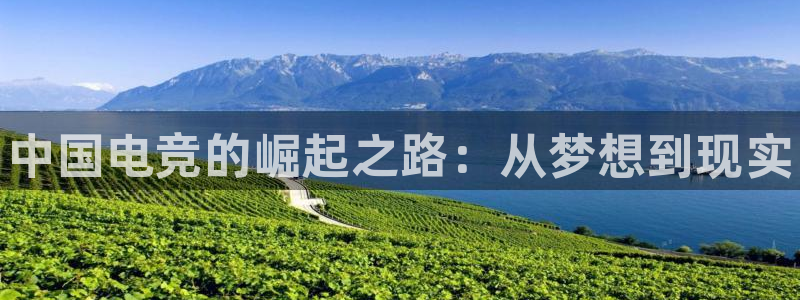 一竞技：中国电竞的崛起之路：从梦想到现实